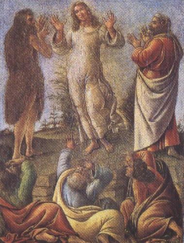 Sandro Botticelli Transfiguration,wtih St jerome and St Augustine (mk36) France oil painting art